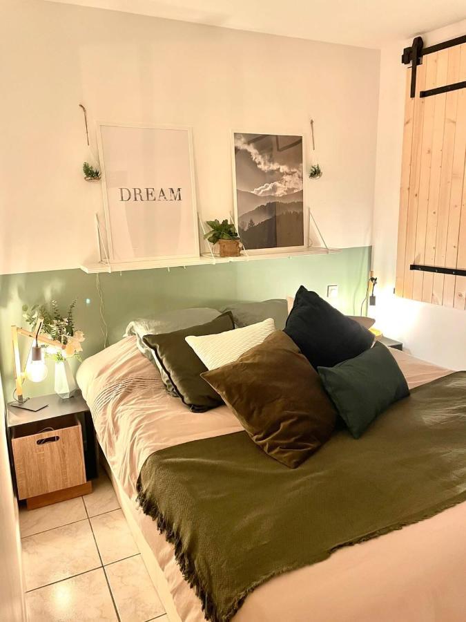 Apartamento Petit Cocon Au Coeur D'annecy