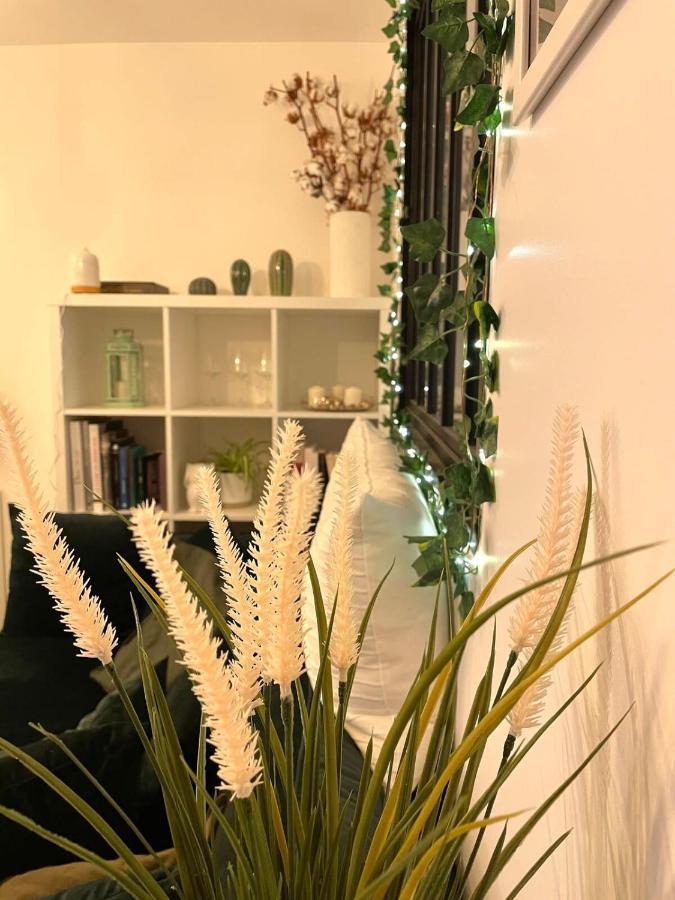 Appartement Petit Cocon Au Coeur D'annecy Annecy